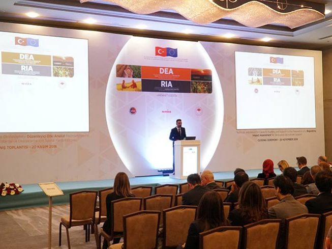 Düzenleyici Etki Analizi (18)