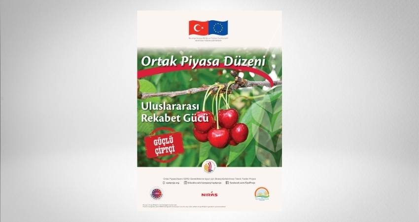 Ortak Piyasa Düzeni (1)