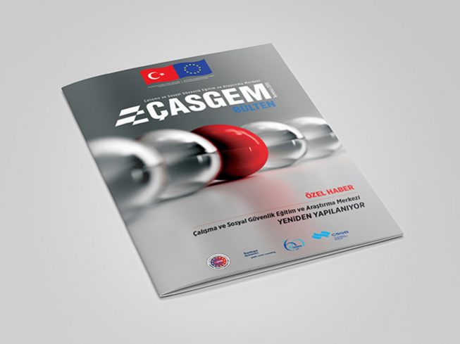 ÇASGEM Kurumsal Kapasitesinin Güçlendirilmesi Projesi