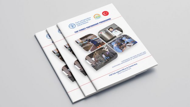 Gıda ve Tarım Örgütü