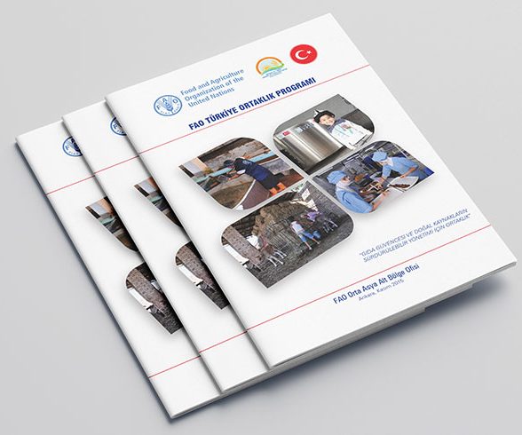 FAO-Türkiye Ortaklık Programı