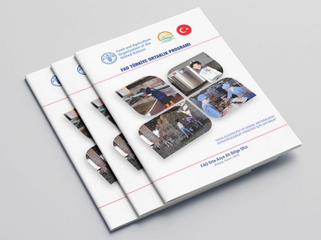 FAO-Türkiye Ortaklık Programı