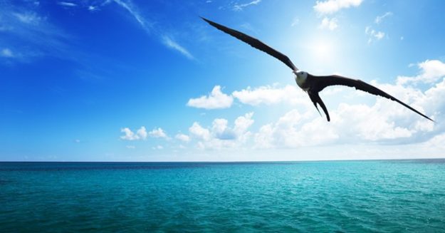 fikrimin-uzun-ince-yolu