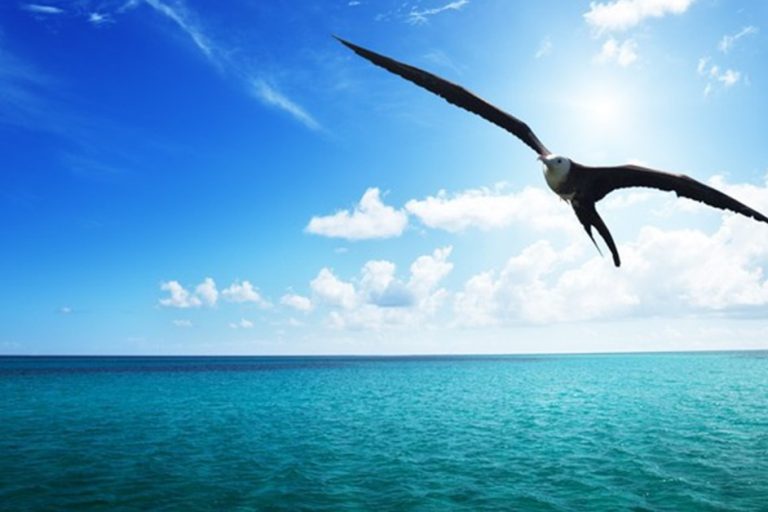 fikrimin-uzun-ince-yolu