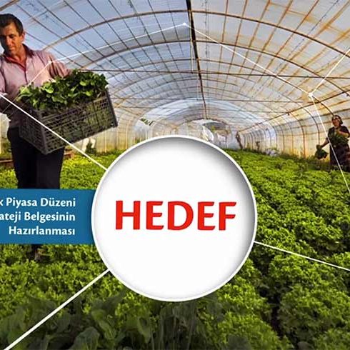 Türkiye’deki İlk Karkas Filmi